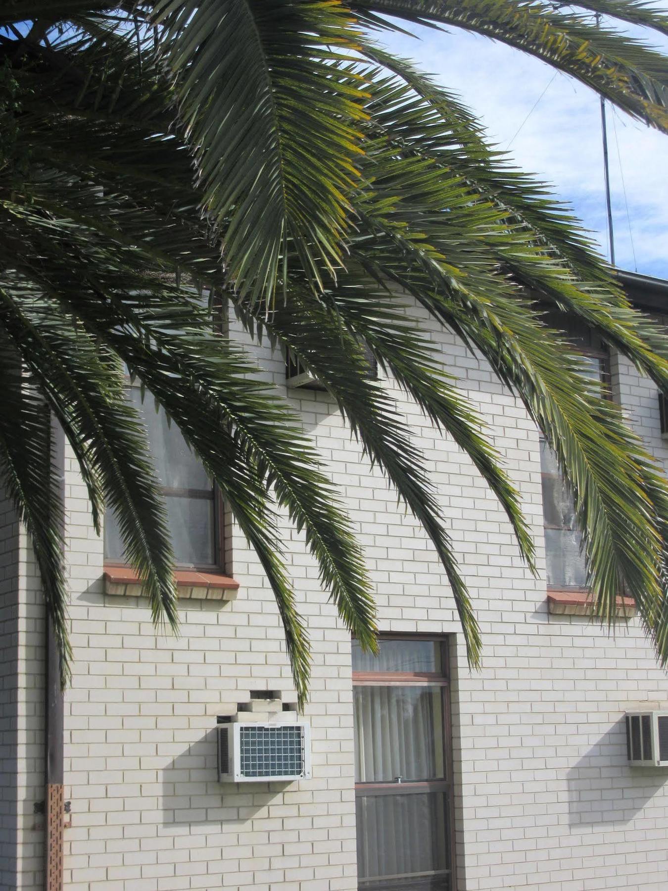 El Toro Motel Warwick Farm Exterior photo